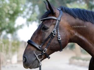 white pearl curved browband Lazypony