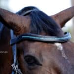 Wave crystal browband Lazypony