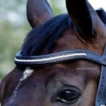 White Opal crystal browband with padding Lazypony