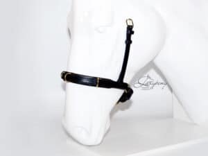 Cavesson noseband Lazypony, academic padded horse noseband with rings