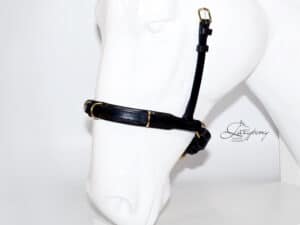 Cavesson noseband Lazypony, academic padded horse noseband with rings