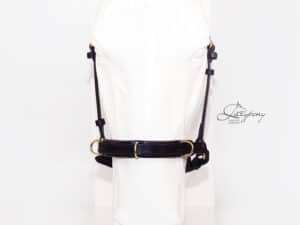 Cavesson noseband Lazypony, academic padded horse noseband with rings