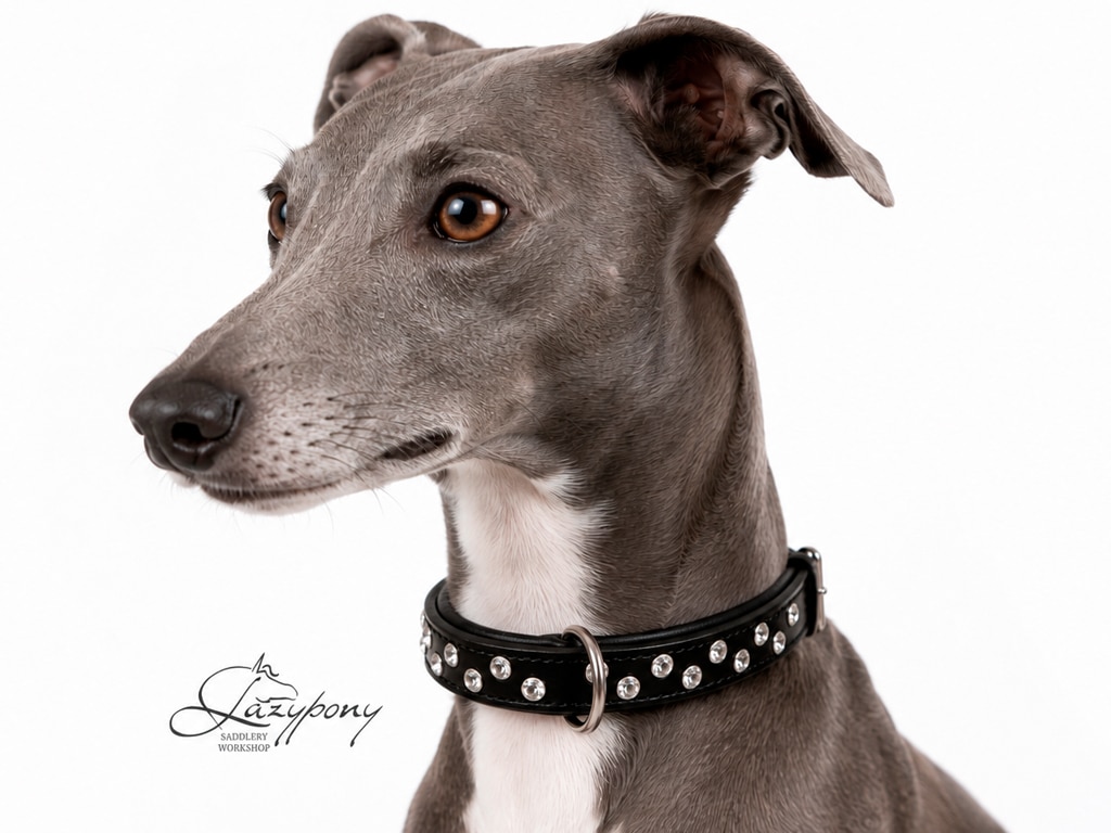 2578 rhinestone dog collar with name tag Lazypony