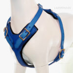 Leather Y-shape dog harness Lazypony, blue harness