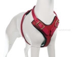 Leather Y-shape dog harness Lazypony, red harness