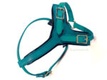 Leather Y-shape dog harness Lazypony, turquoise harness
