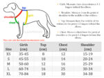 dog harness size chart