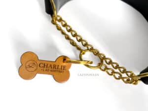 Leather chain dog collar Lazypony with name tag
