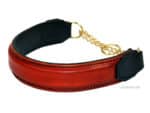 personalized nameplate dog collar Lazypony