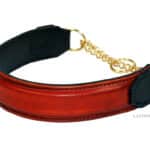 personalized nameplate dog collar Lazypony
