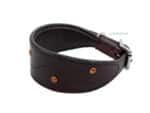 Brown Greyhound Collar Lazypony with Name ID Tag
