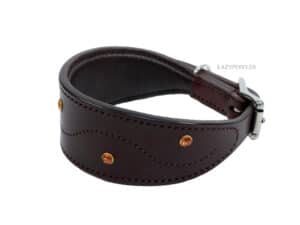 Brown Greyhound Collar Lazypony with Name ID Tag