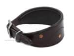 Brown padded Leather Greyhound Collar