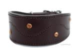 Brown Leather Greyhound Collar Lazypony with Name Tag