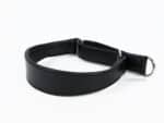 Greyhound Martingale with Name