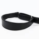 Greyhound Martingale with Name